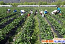 農(nóng)村創(chuàng)業(yè)最新項目-農(nóng)村適合的創(chuàng)業(yè)項目有哪些,農(nóng)村創(chuàng)業(yè)的好項目推薦-大智網(wǎng)匯