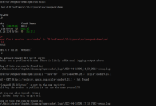 webpack教程視頻教程-如何寫一個webpack插件-大智網匯