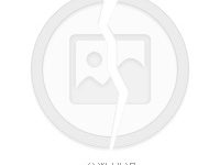 emc船公司-EMC船公司的PVCS服務和TPS服務的有什么不同?-大智網匯