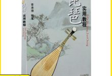 琵琶教程視頻入門教程-怎么學琵琶的基本方法-大智網匯