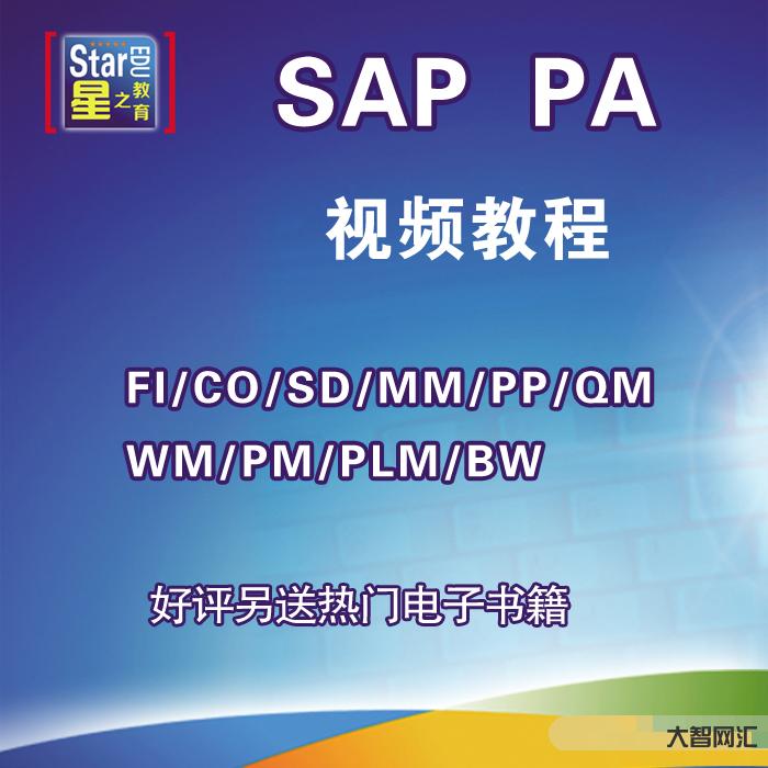 sap教程視頻教程