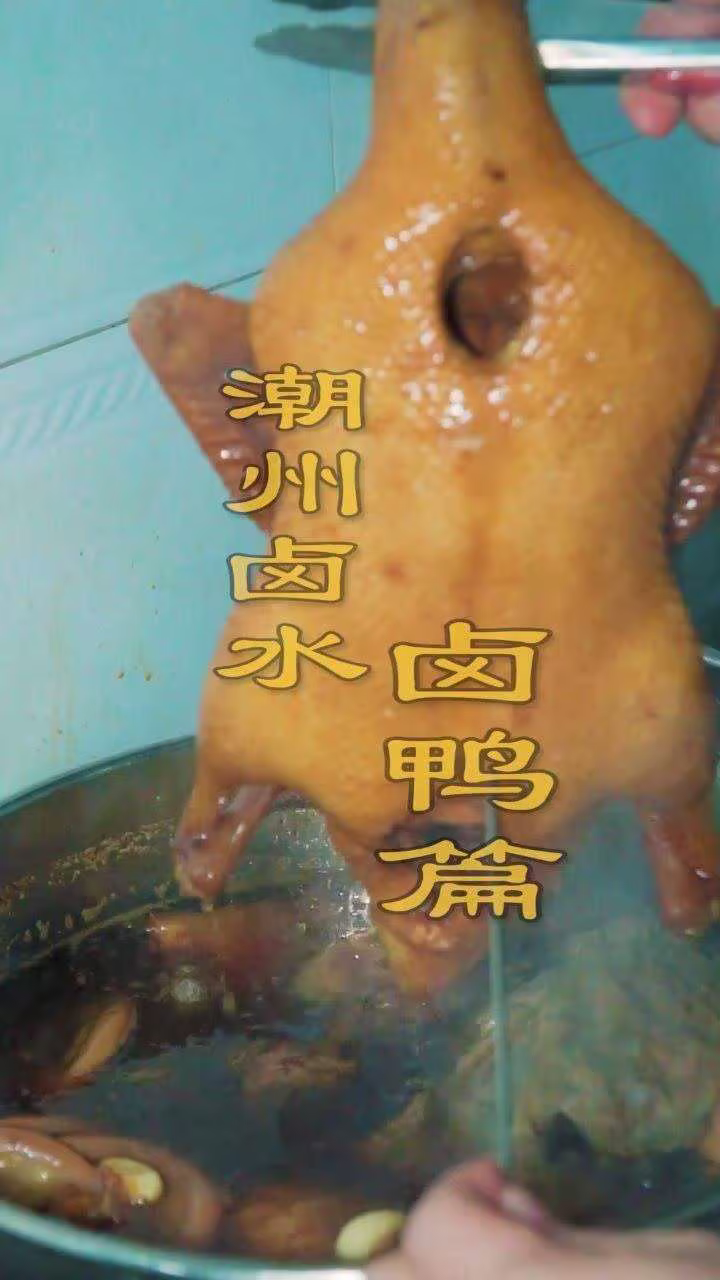 鹵鴨教程視頻教程