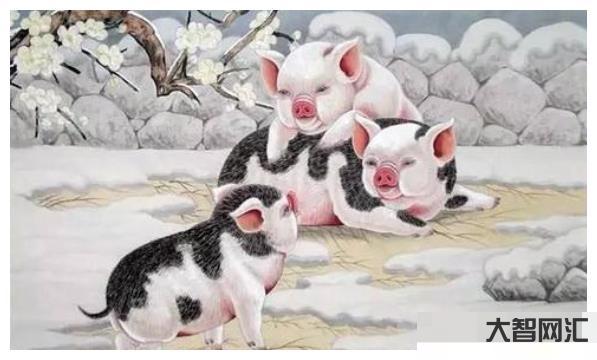 明年是什么生肖