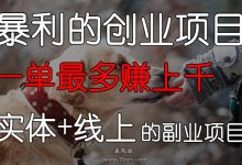 互聯(lián)網(wǎng)暴利賺錢項目-推薦十種網(wǎng)絡(luò)賺錢方式,總有一個適合你!-大智網(wǎng)匯