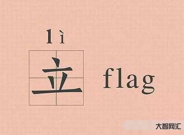 flag是什么意思