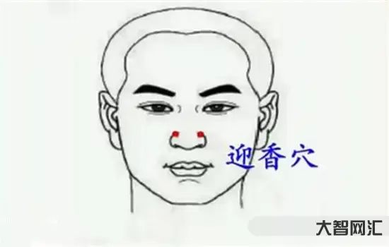 鼻子不通氣怎么辦速效辦法