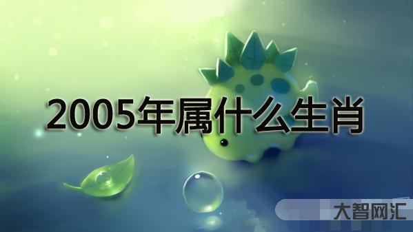 2023年屬什么生肖