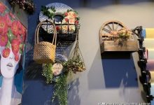 張家口賣多肉的市場-張家口賣多肉這都可以,-大智網匯