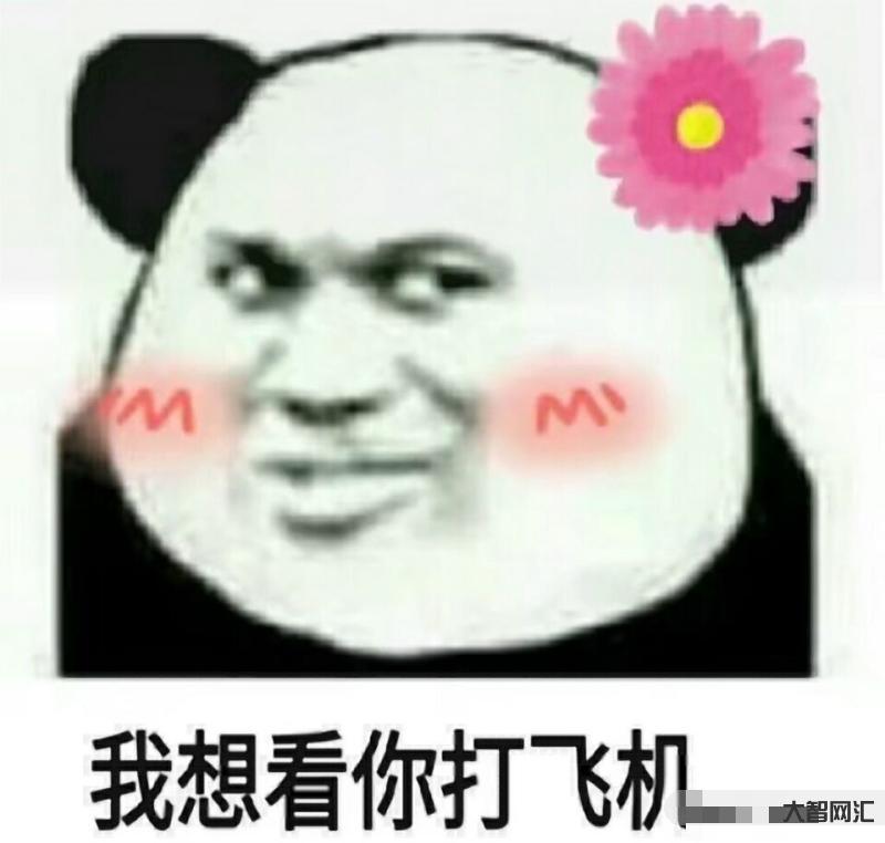 什么是打飛機
