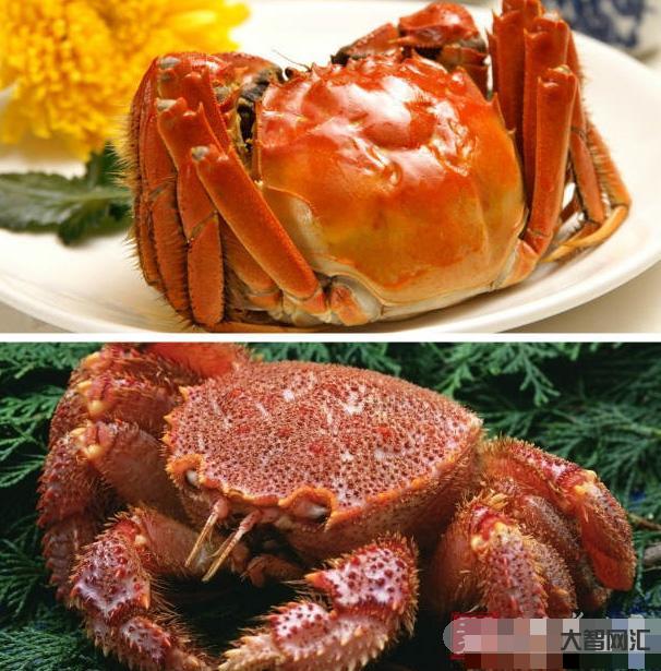 螃蟹不能和哪些食物一起吃