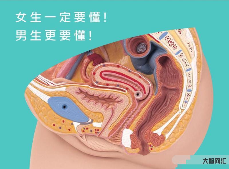 如何刺激u點高潮