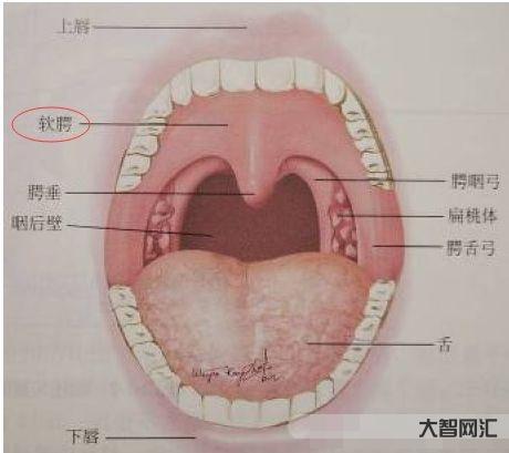 喉嚨感覺有東西堵著是怎么回事