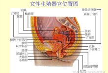 男生插到子宮什么感覺-用手插進去搞,這樣子宮會受傷嗎-大智網匯