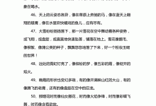 什么像什么造句-什么像什么造句二年級-大智網匯