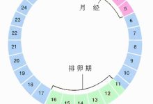 排卵期是什么時候-請問同房后馬上就吃了緊急避孕藥管用嗎?-大智網匯