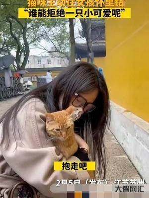 誰能拒絕主動趴懷里呢
