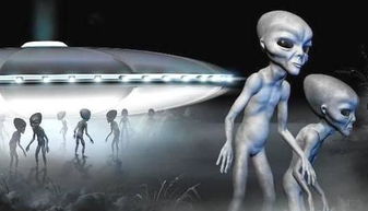 請問有人知道上海外星人電腦總店在哪？要找ALIENWA