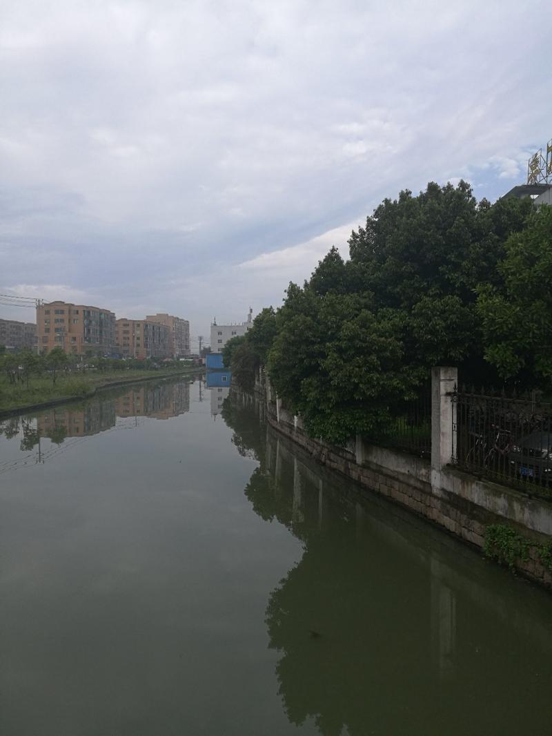 溫州天氣