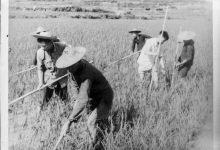 20世紀50年代是哪一年-20世紀50年代是幾幾年-1950年代是幾幾-大智網匯