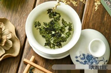 鐵觀音屬于什么茶