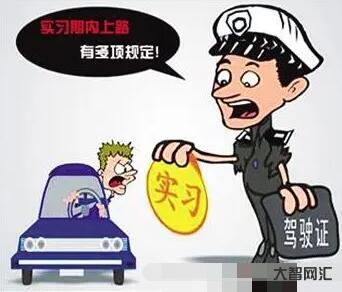 2、實習期間如何處罰高速公路？