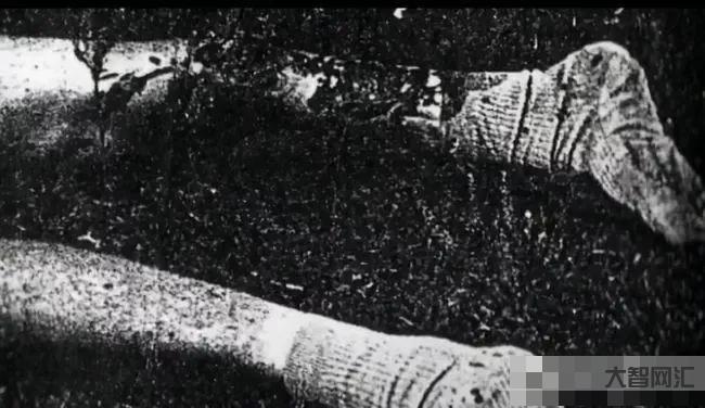 發生在95年的吸血鬼事件