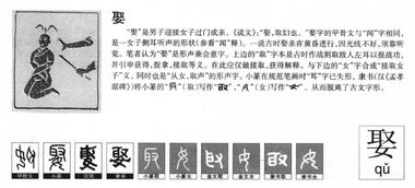 “提供”的正確讀音是什么？