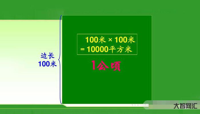 3、一公頃多少畝地？