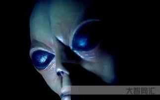 外星人電腦官網是哪個？