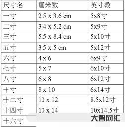 九寸多少厘米