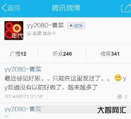 yy2080是什么