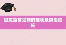 銀龍魚常見病的癥狀及防治措施-大智網匯