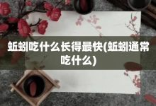蚯蚓吃什么長得最快-蚯蚓通常吃什么-大智網匯