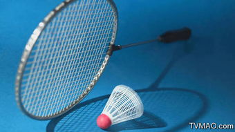 “Badminton”這個(gè)英文單詞是什么意思？