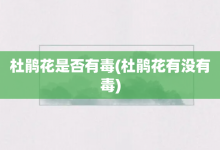 杜鵑花是否有毒-杜鵑花有沒有毒-大智網匯