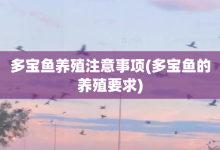 多寶魚養殖注意事項-多寶魚的養殖要求-大智網匯