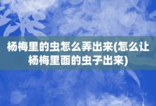 楊梅里的蟲怎么弄出來-怎么讓楊梅里面的蟲子出來-大智網匯