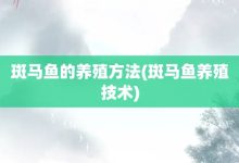 斑馬魚的養殖方法-斑馬魚養殖技術-大智網匯