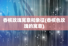 香檳玫瑰寓意和象征-香檳色玫瑰的寓意-大智網(wǎng)匯