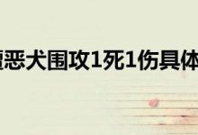 六旬夫婦遭惡犬圍攻1死1傷-幼童被惡犬圍攻,善良奶奶救孩子,要么我被吃-大智網(wǎng)匯