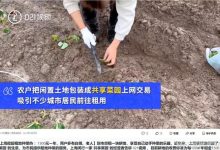 上海掀起租地種菜熱:1500元一年-在上海租地種菜一年多少收入,會(huì)不會(huì)-大智網(wǎng)匯