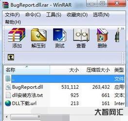 給大家科普下bugreport（bugreport可以刪除嗎）