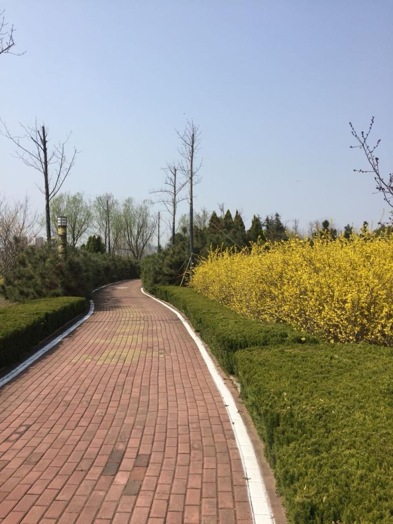 最新氣溫臨沂-臨沂市氣象臺繼續發布寒潮藍色預警