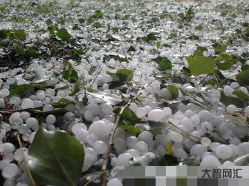 每年幾月份冰雹多一些-2月份打雷、下冰雹正常嗎?聽聽專家怎么說