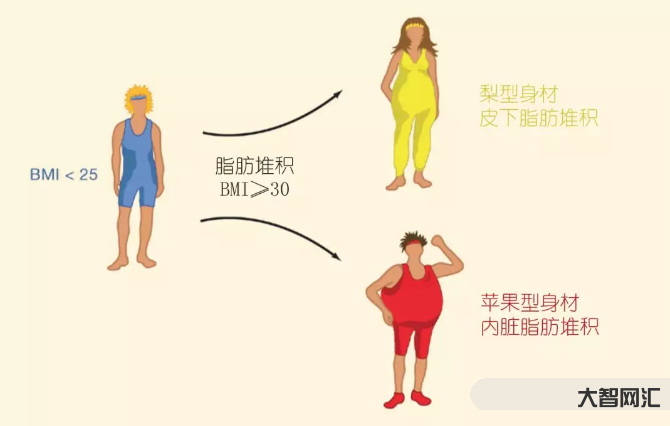 1、抽脂對身體有害嗎?