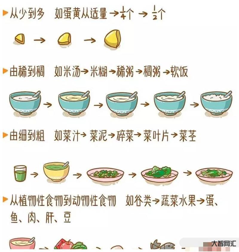 3個月寶寶怎么喂輔食好-指南建議:7-24個月寶寶如何喂養?每天幾次奶