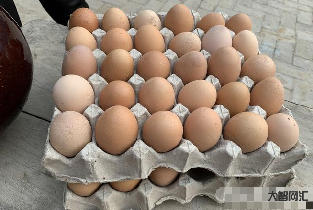 哪里的雞蛋25元一斤呢-昆明雞蛋漲價了