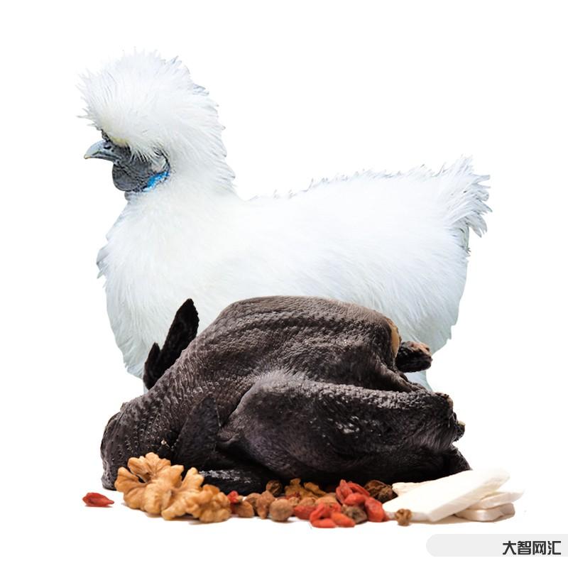 山地烏骨雞-低調(diào)又驚艷，去興文必吃的6款美食