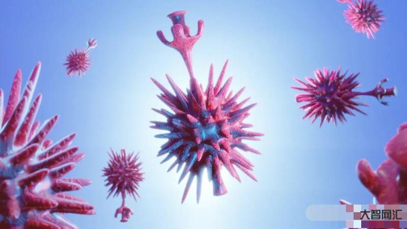 現(xiàn)在的病毒是不是新冠病毒-新冠病毒去哪了?它會(huì)消失嗎?專家回應(yīng)