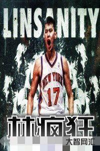 誰知道linsanity（linsanity什么意思）